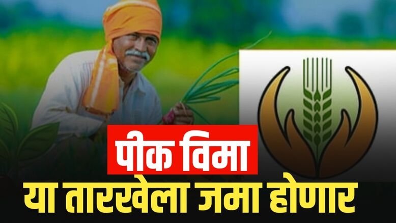 Pik Vima List: या तारखेला जमा होणार पीक विमा