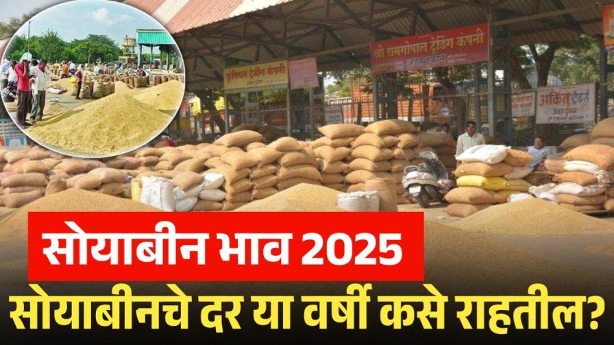 Soyabean Rate 2025: सोयाबीनचे दर या वर्षी कसे राहतील?