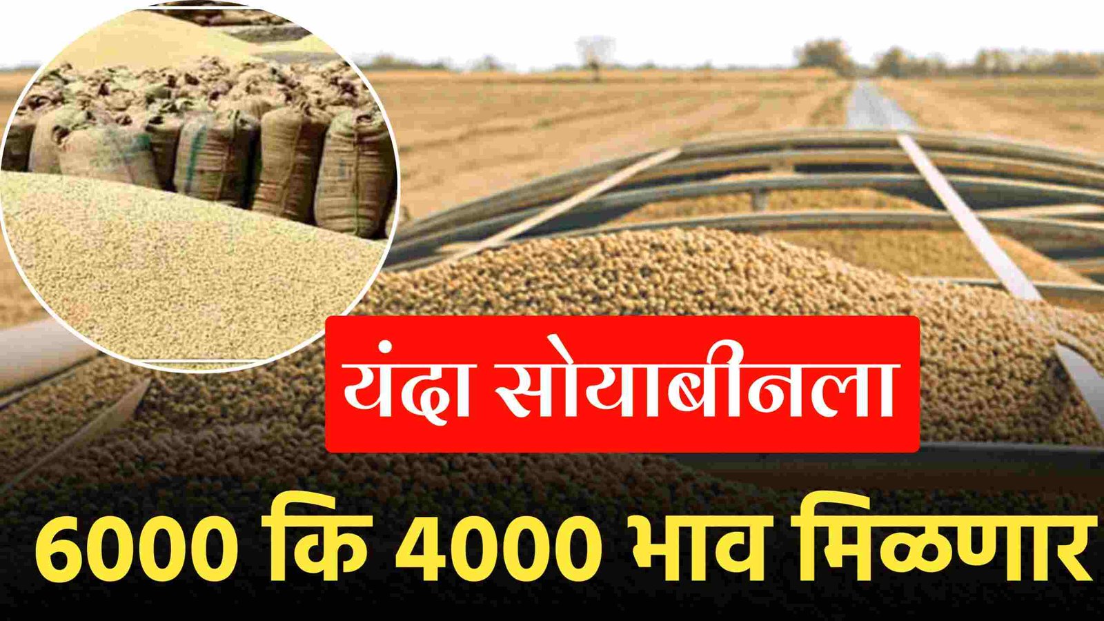 यंदा सोयाबीनला 6000 कि 4000 भाव मिळणार; नवीन हमीभाव पहा Soyabean Rate 2025