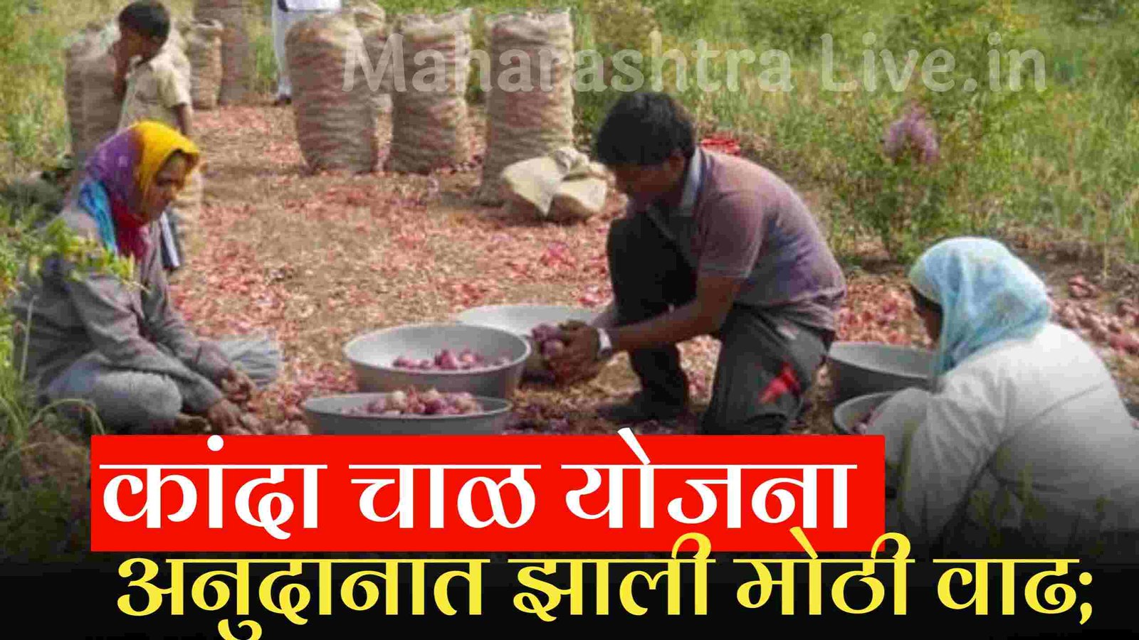 Kanda Chal Anudan Yojana